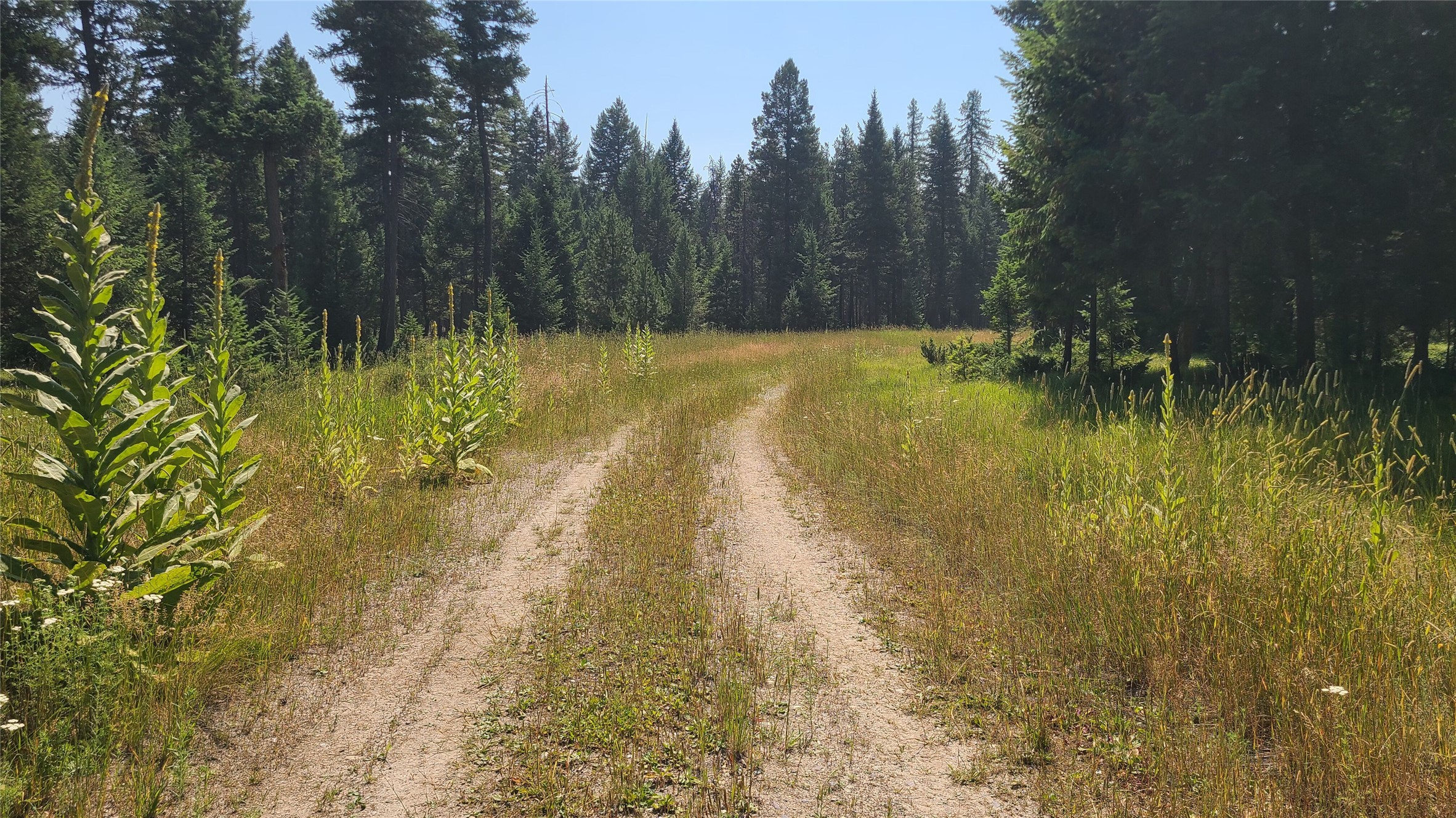 128 Whitefish Forest Loop Property Photo 8