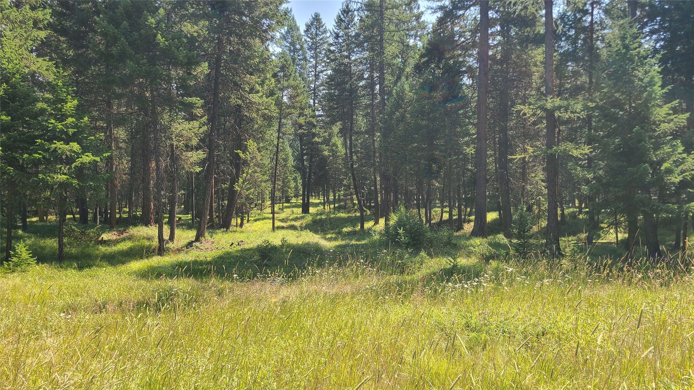 128 Whitefish Forest Loop Property Photo 9