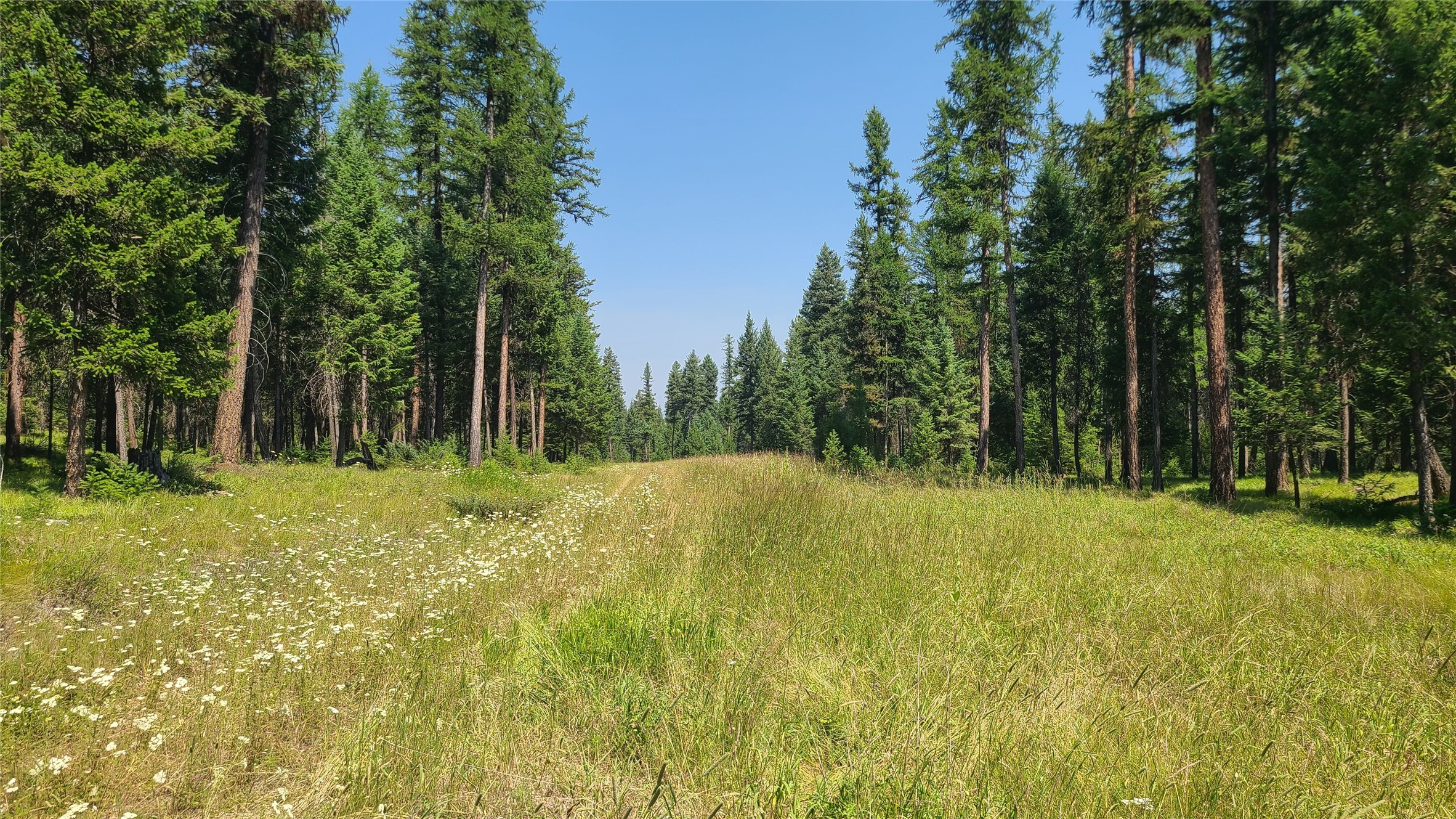 128 Whitefish Forest Loop Property Photo 10
