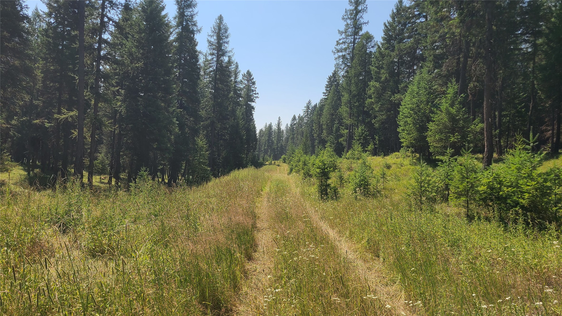 128 Whitefish Forest Loop Property Photo 11