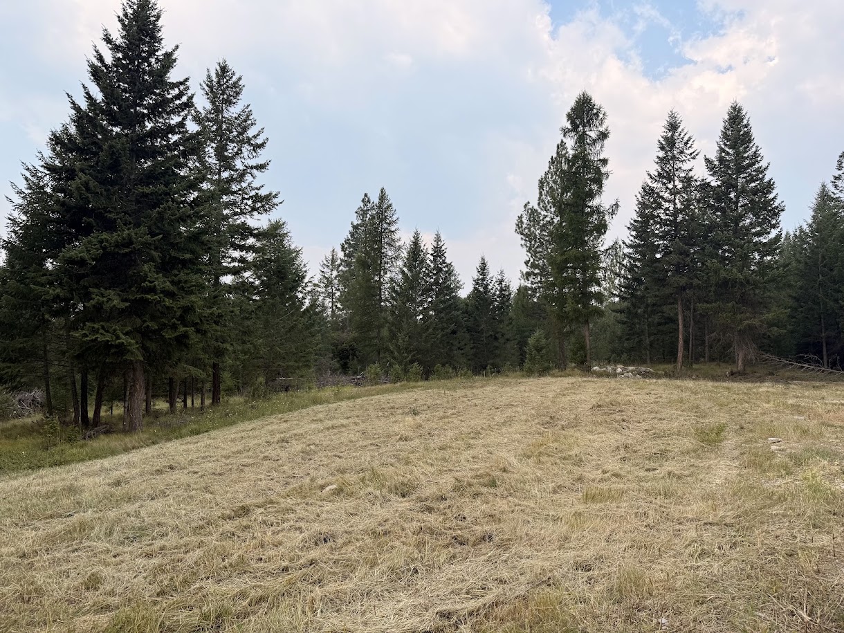 47466 Harmony Lane Property Photo 5