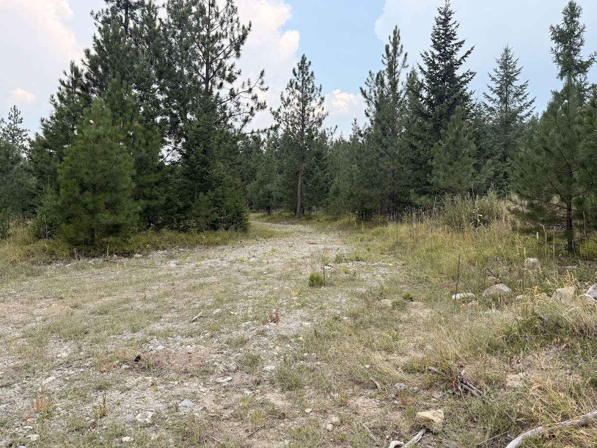 47466 Harmony Lane Property Photo 6
