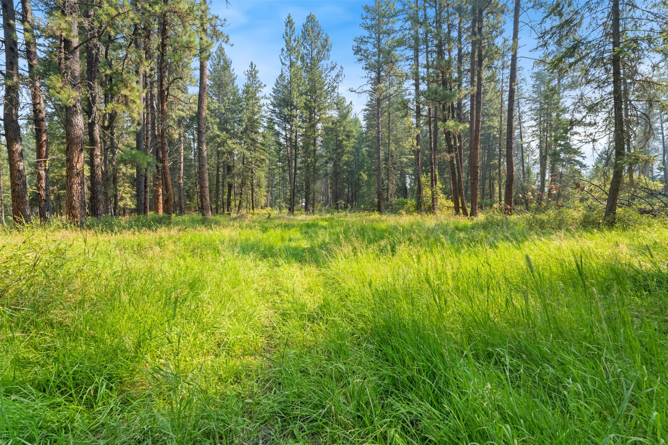 33558 Timberlane Road Property Photo 28