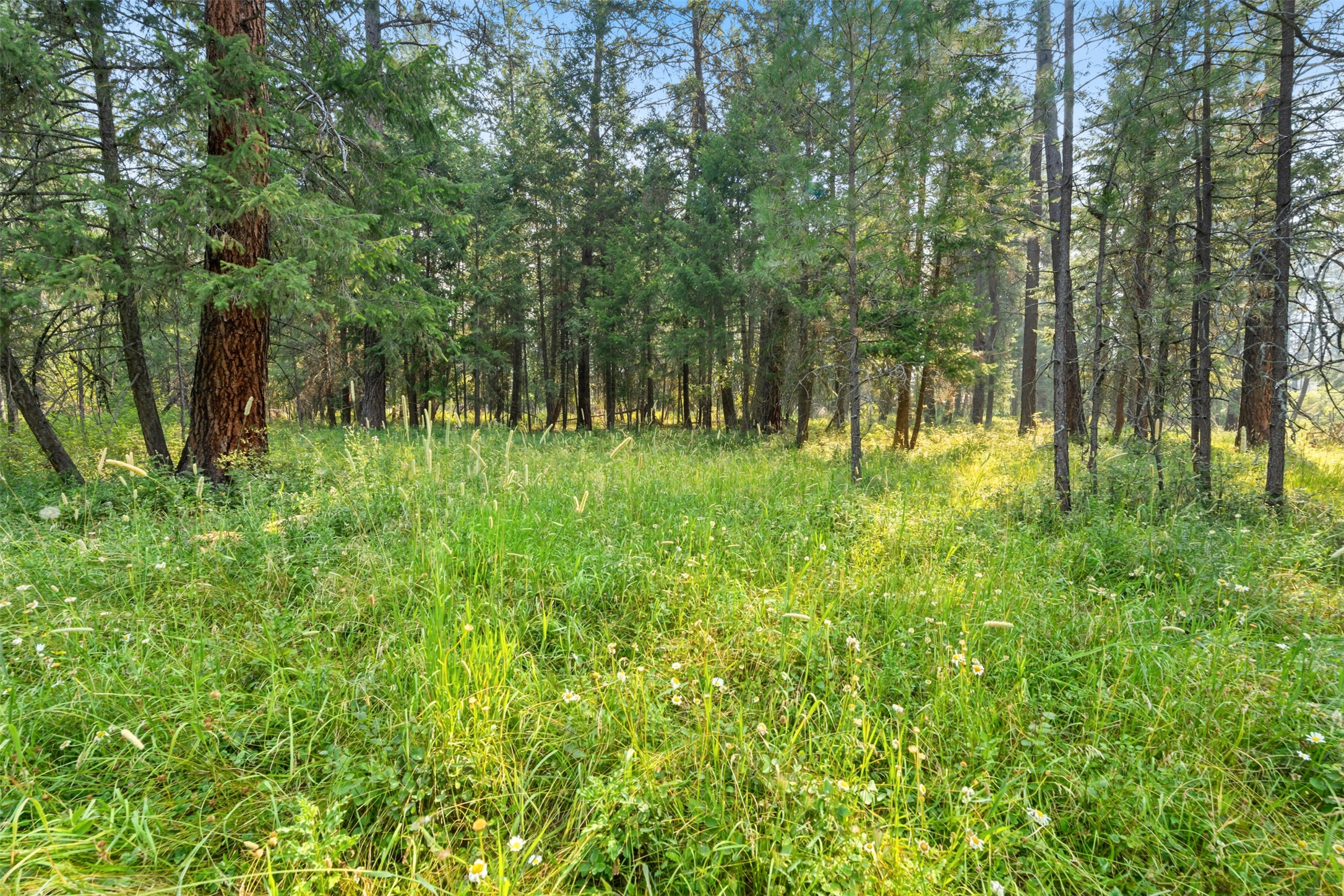 33558 Timberlane Road Property Photo 29