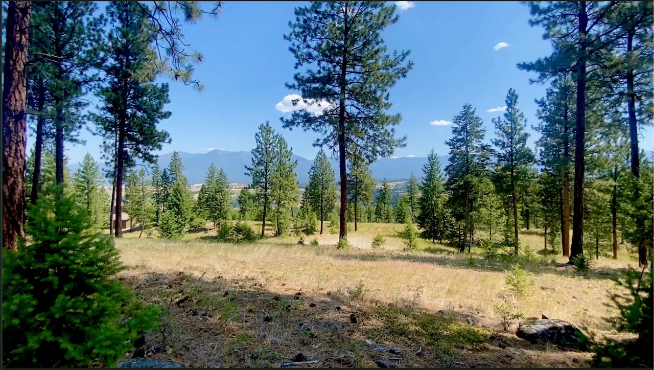 Nhn Hillandale Trail Property Photo 2