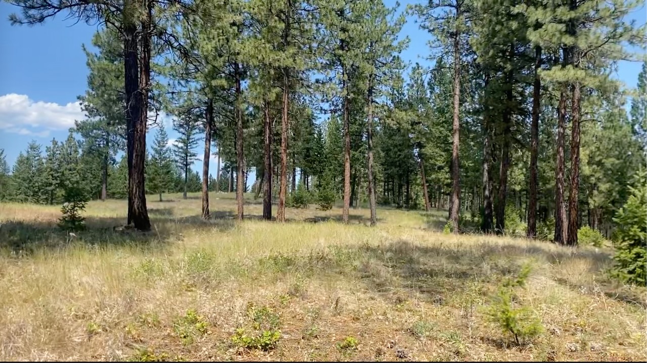 Nhn Hillandale Trail Property Photo 4