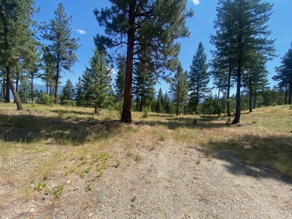 Nhn Hillandale Trail Property Photo 6