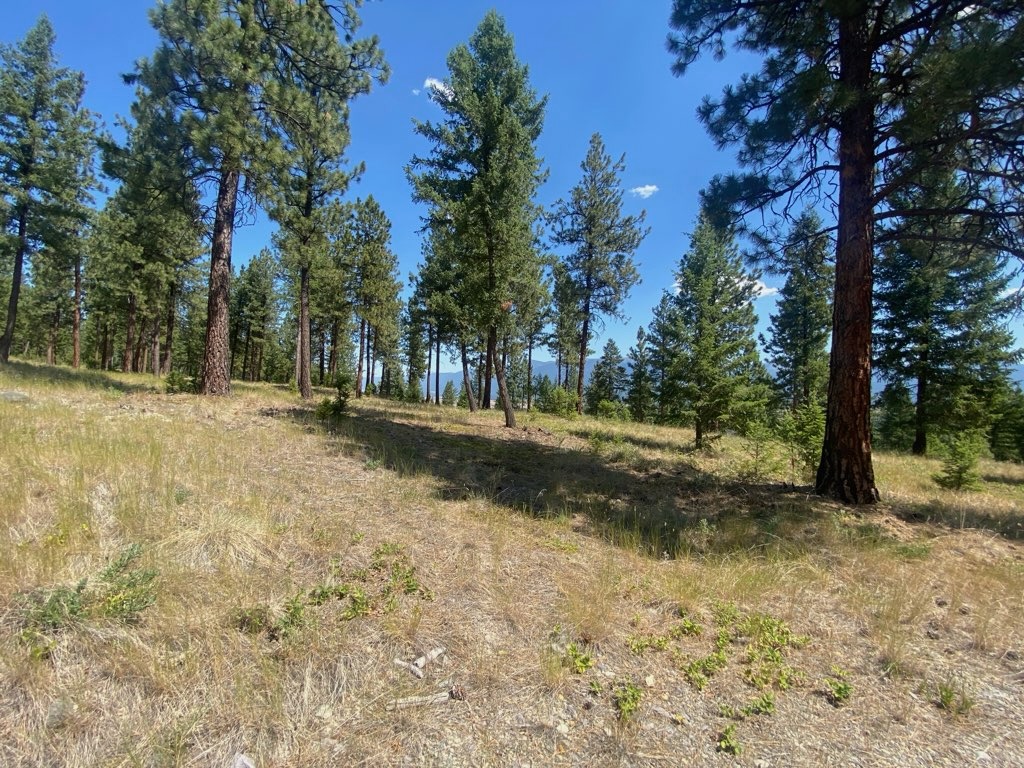 Nhn Hillandale Trail Property Photo 7