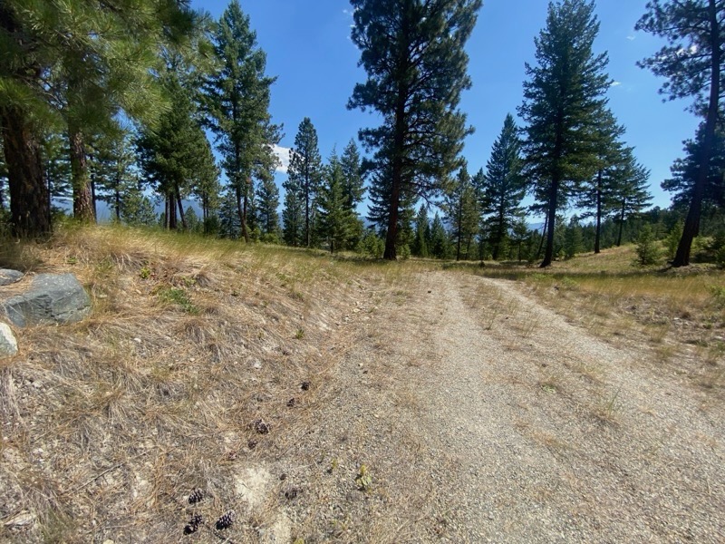 Nhn Hillandale Trail Property Photo 10