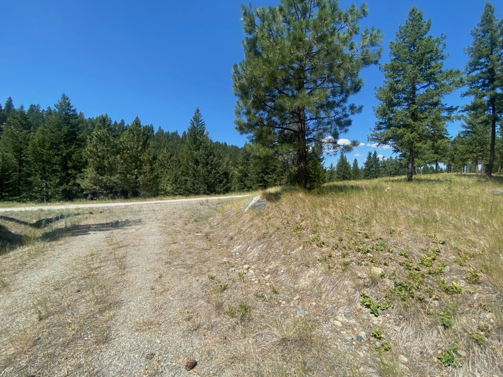 Nhn Hillandale Trail Property Photo 11