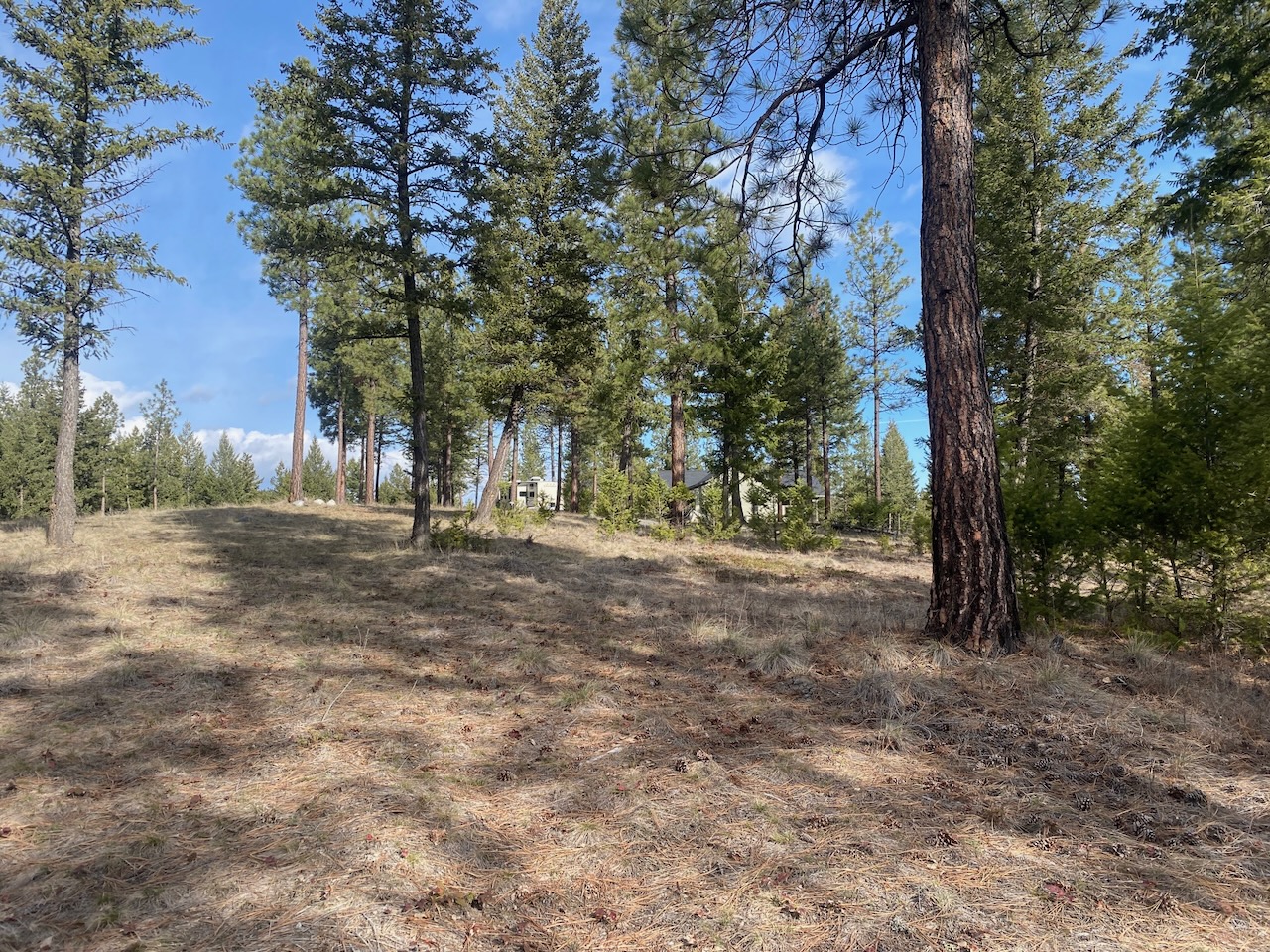 Nhn Hillandale Trail Property Photo 13