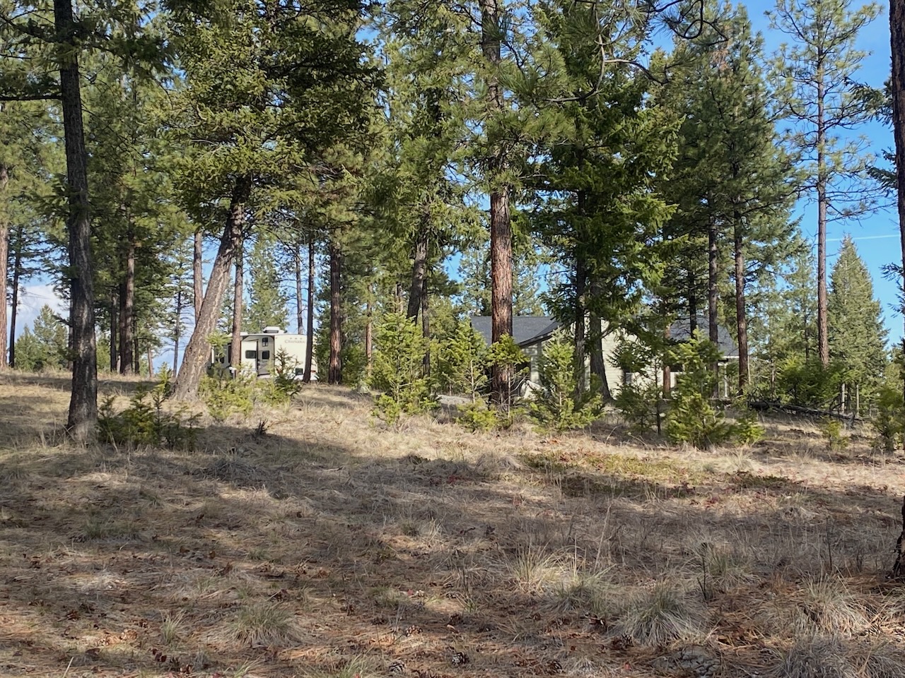 Nhn Hillandale Trail Property Photo 14
