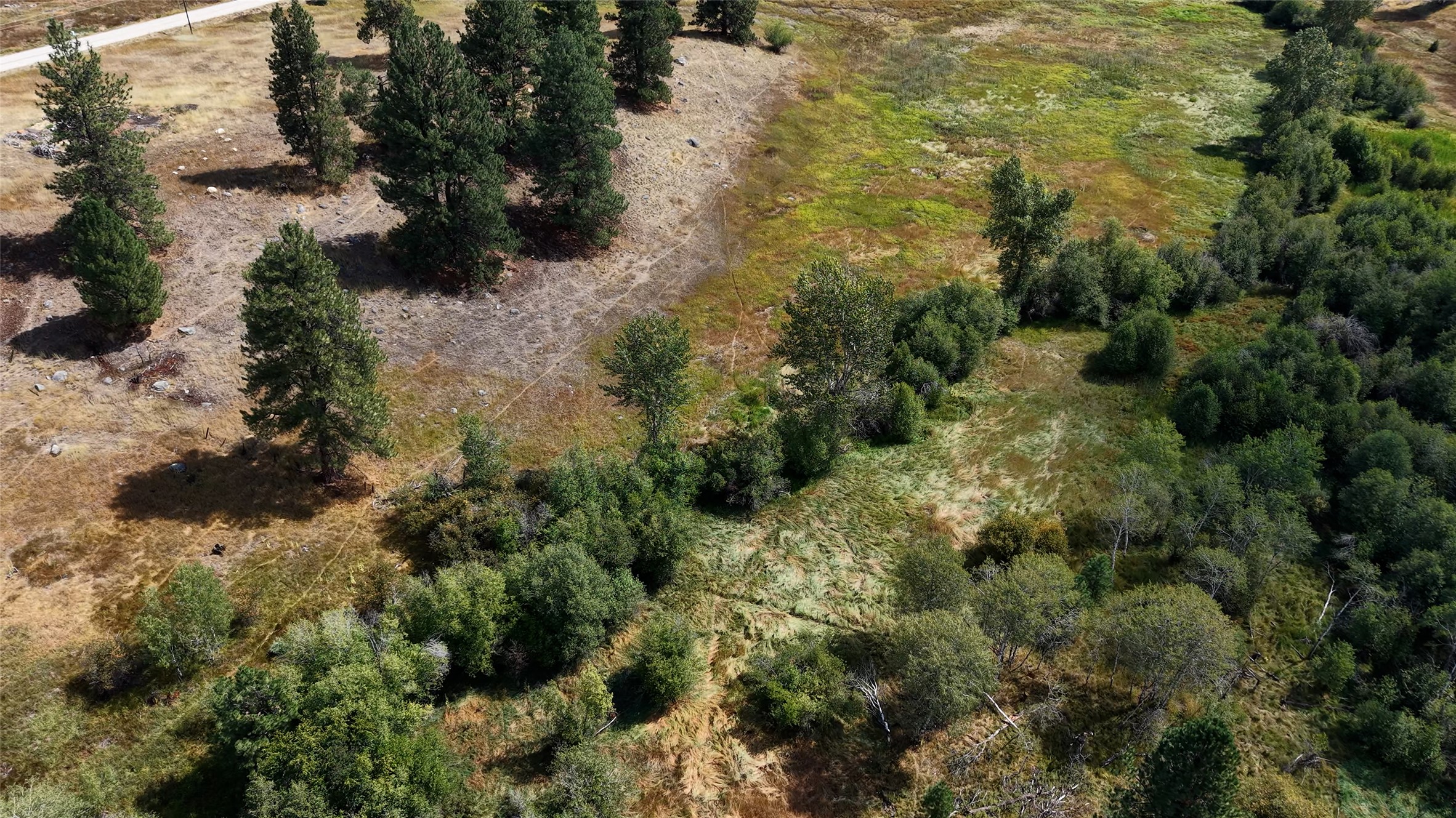 Nhn Nighthawk Lane Property Photo 28