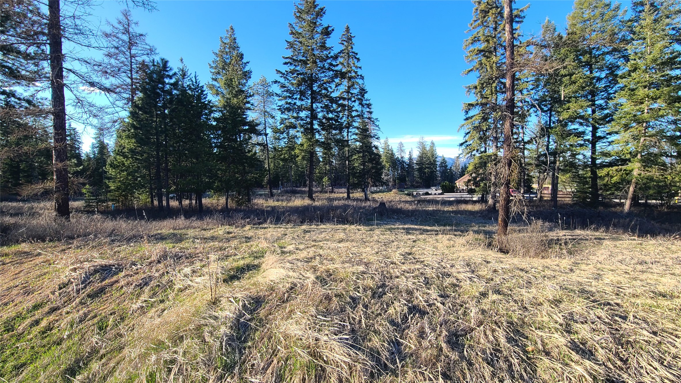117 Ljc Lane Property Photo 29