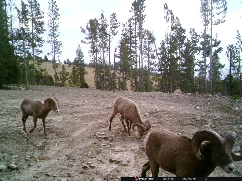 Anna Indian Creek Road Property Photo 1