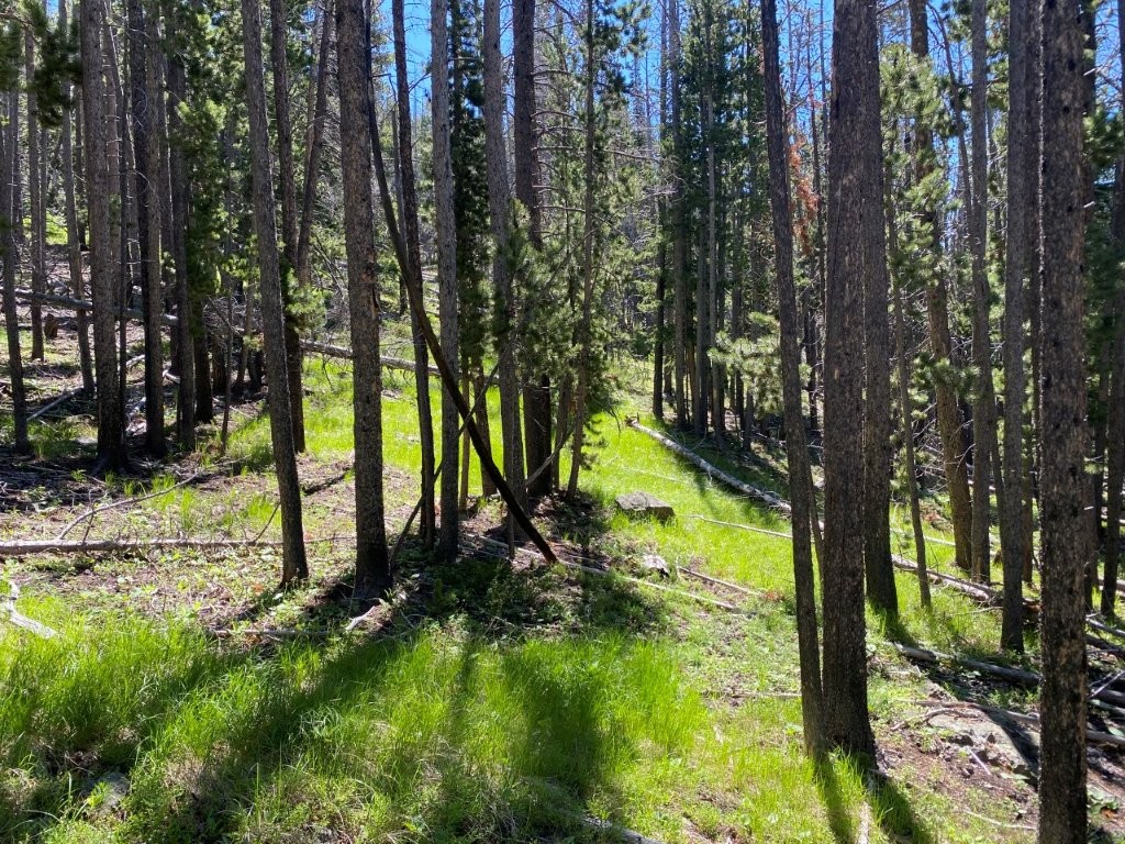 Anna Indian Creek Road Property Photo 16