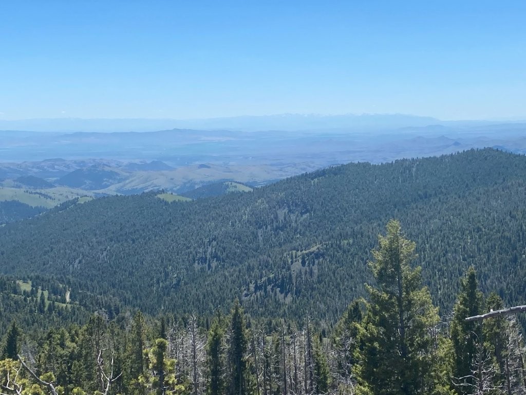 Anna Indian Creek Road Property Photo 19