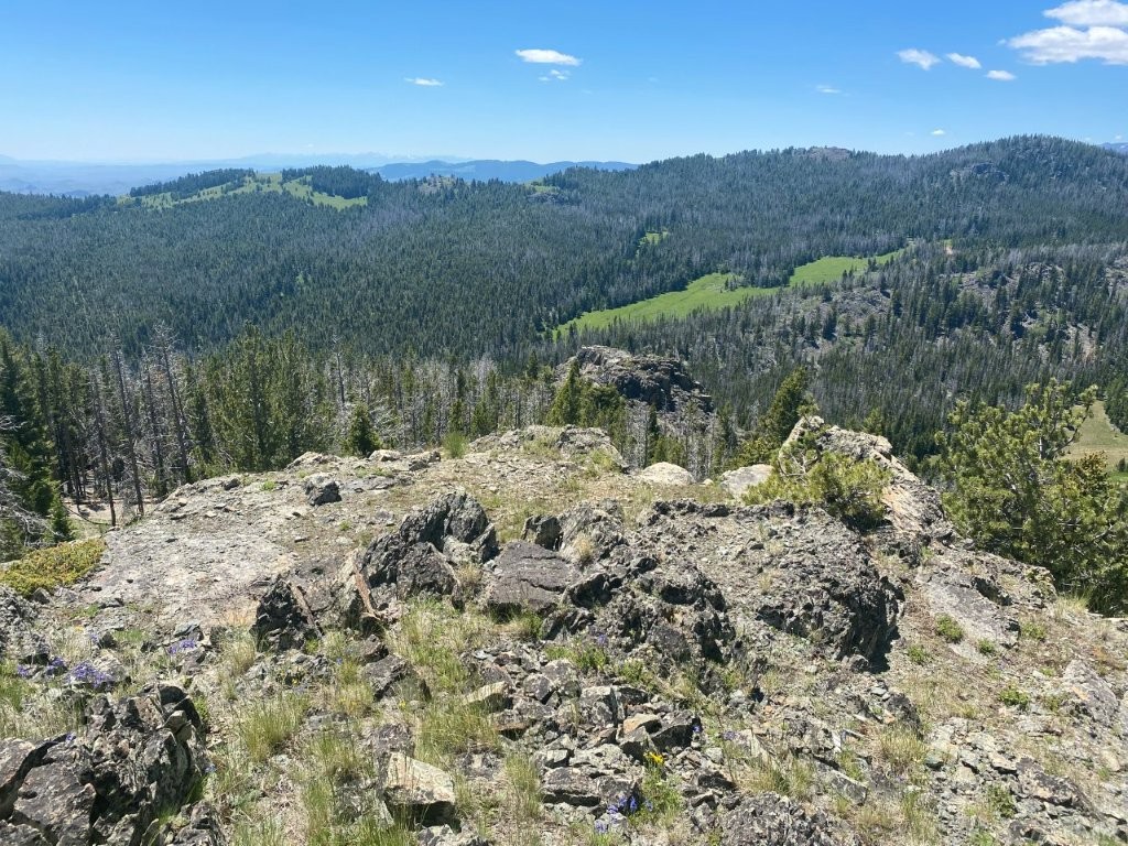 Anna Indian Creek Road Property Photo 23