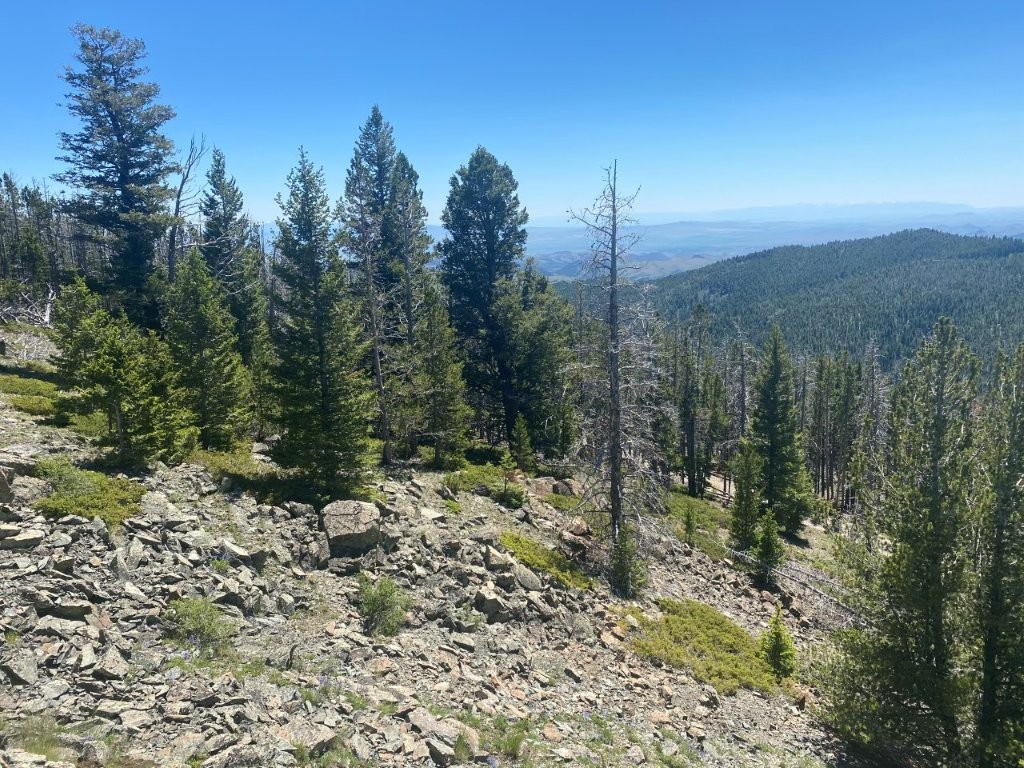 Anna Indian Creek Road Property Photo 25