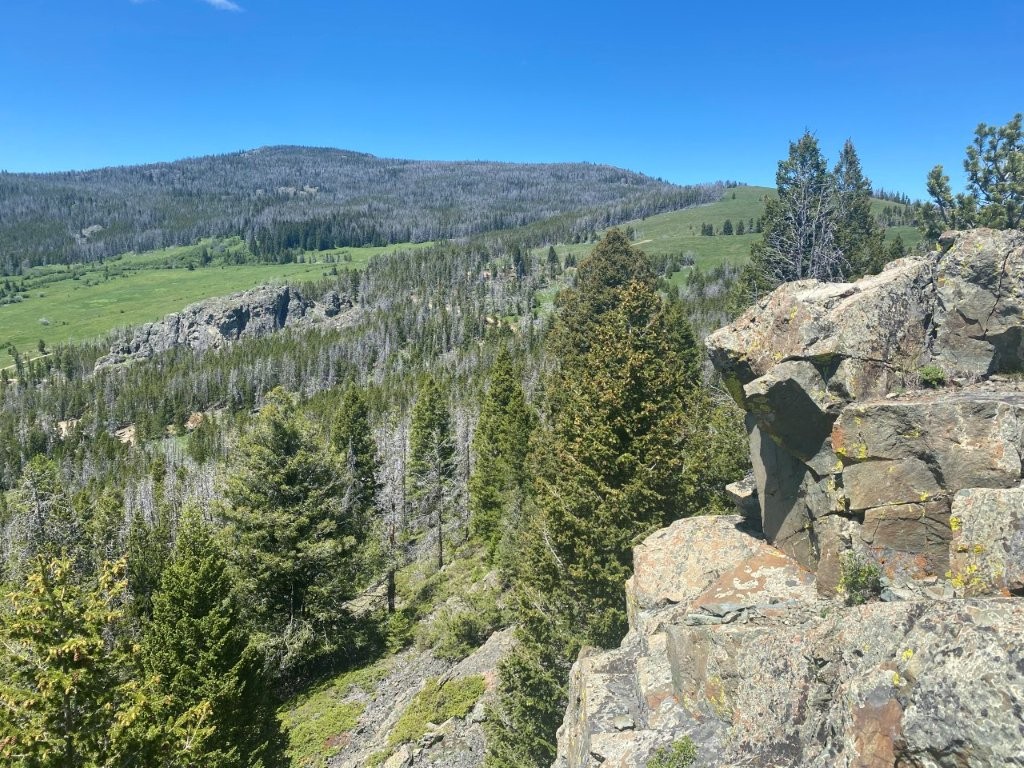 Anna Indian Creek Road Property Photo 26