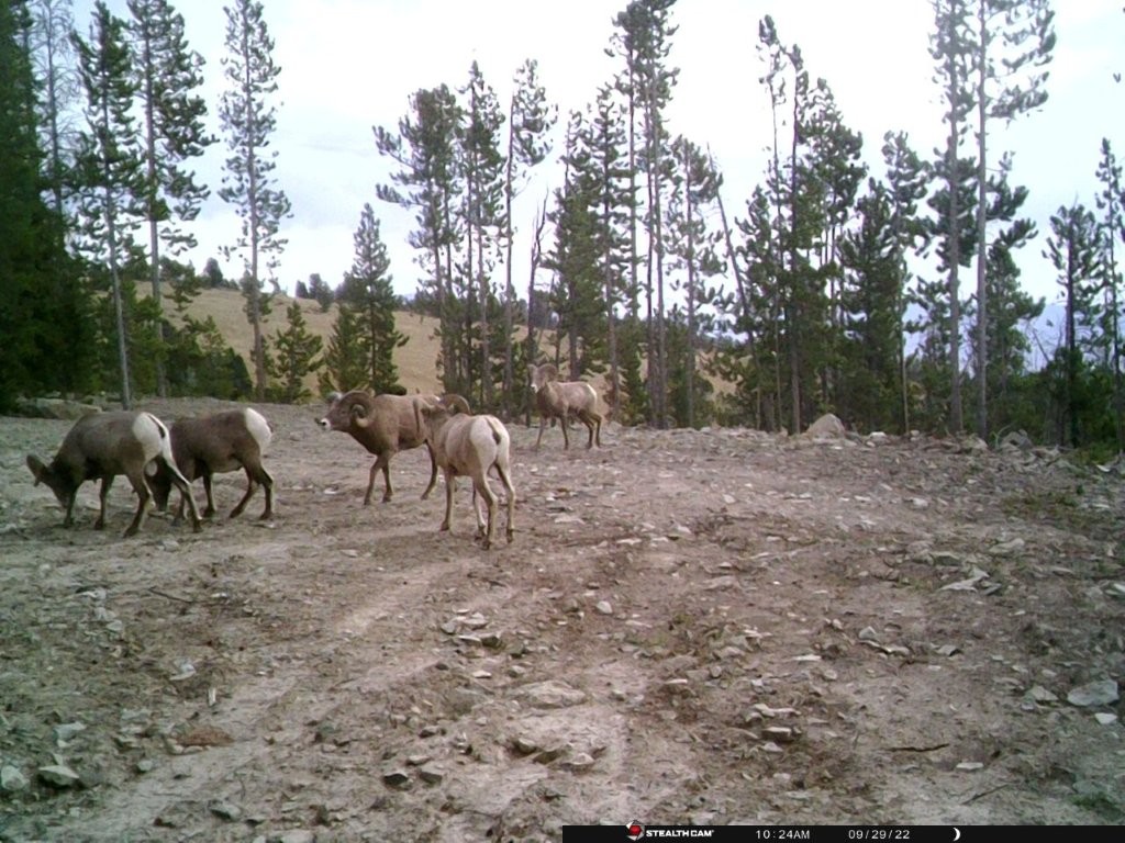 Anna Indian Creek Road Property Photo 29