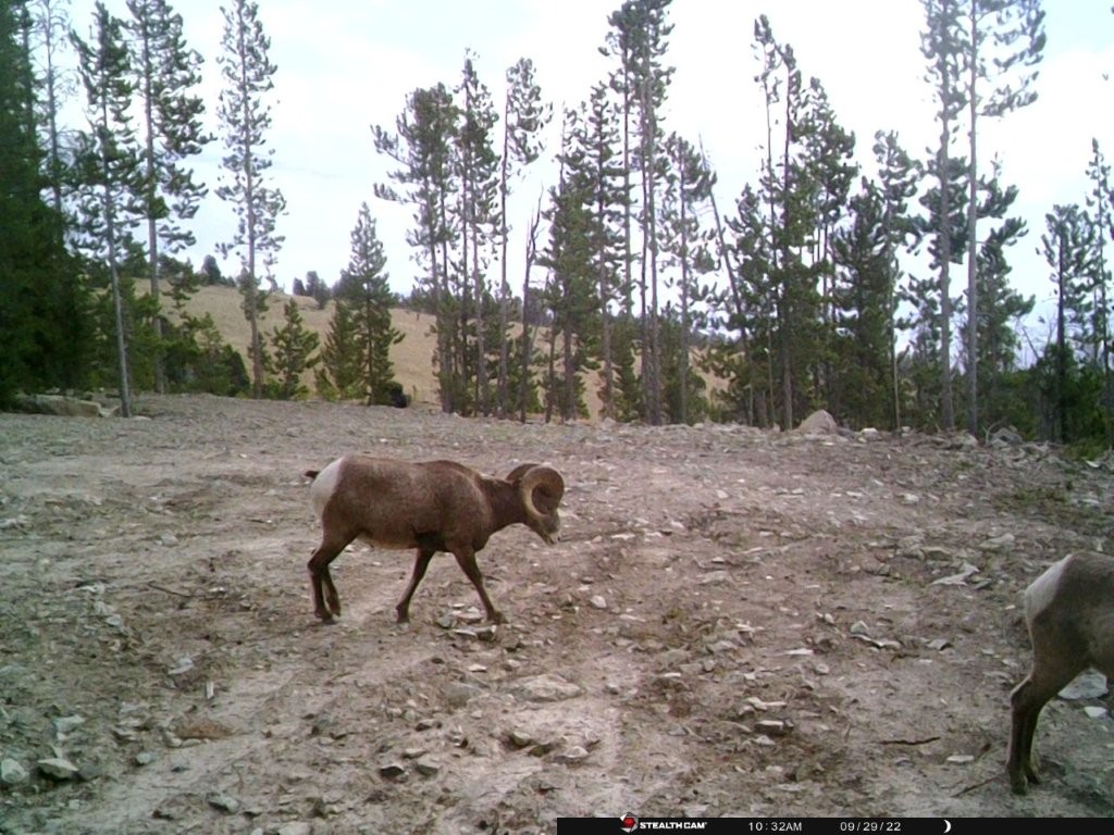 Anna Indian Creek Road Property Photo 30