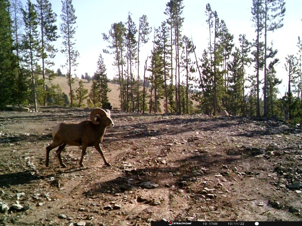 Anna Indian Creek Road Property Photo 31