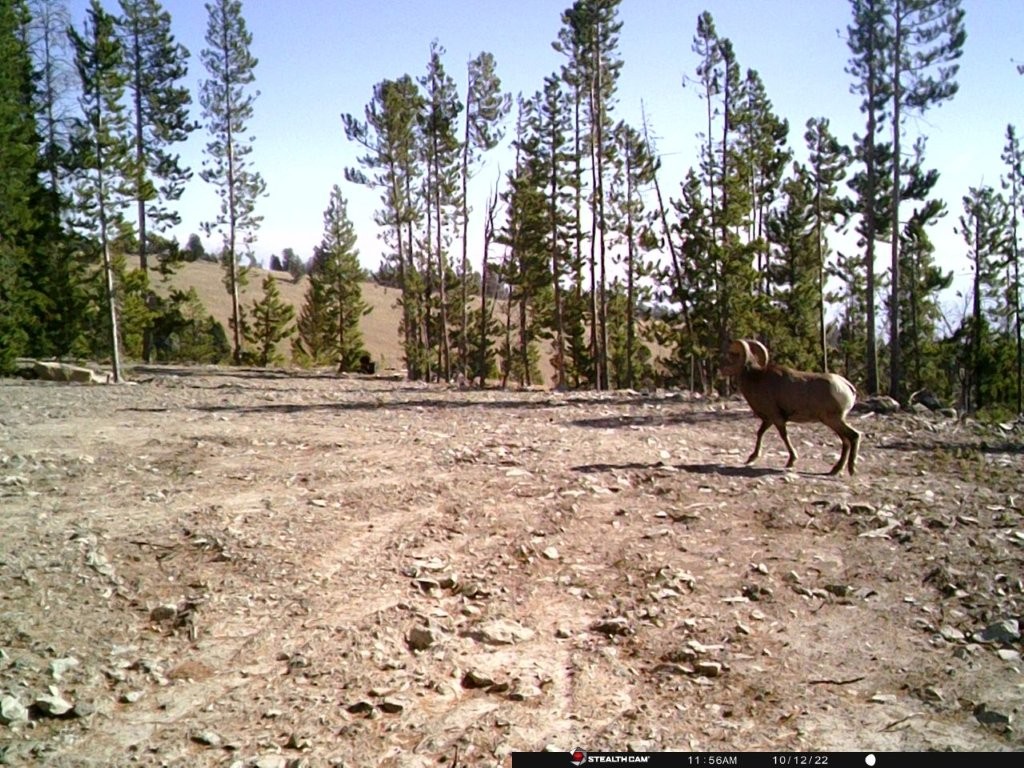 Anna Indian Creek Road Property Photo 32