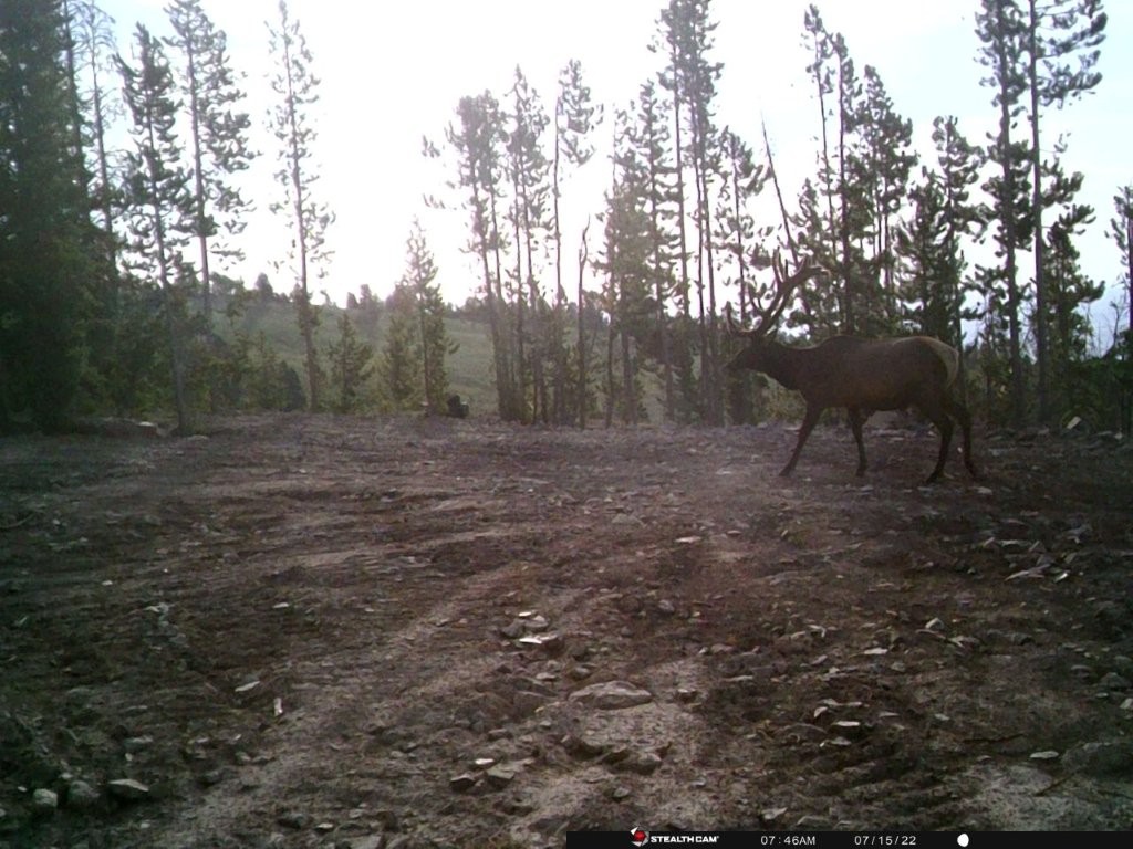 Anna Indian Creek Road Property Photo 33