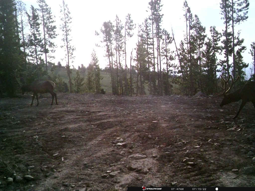 Anna Indian Creek Road Property Photo 34