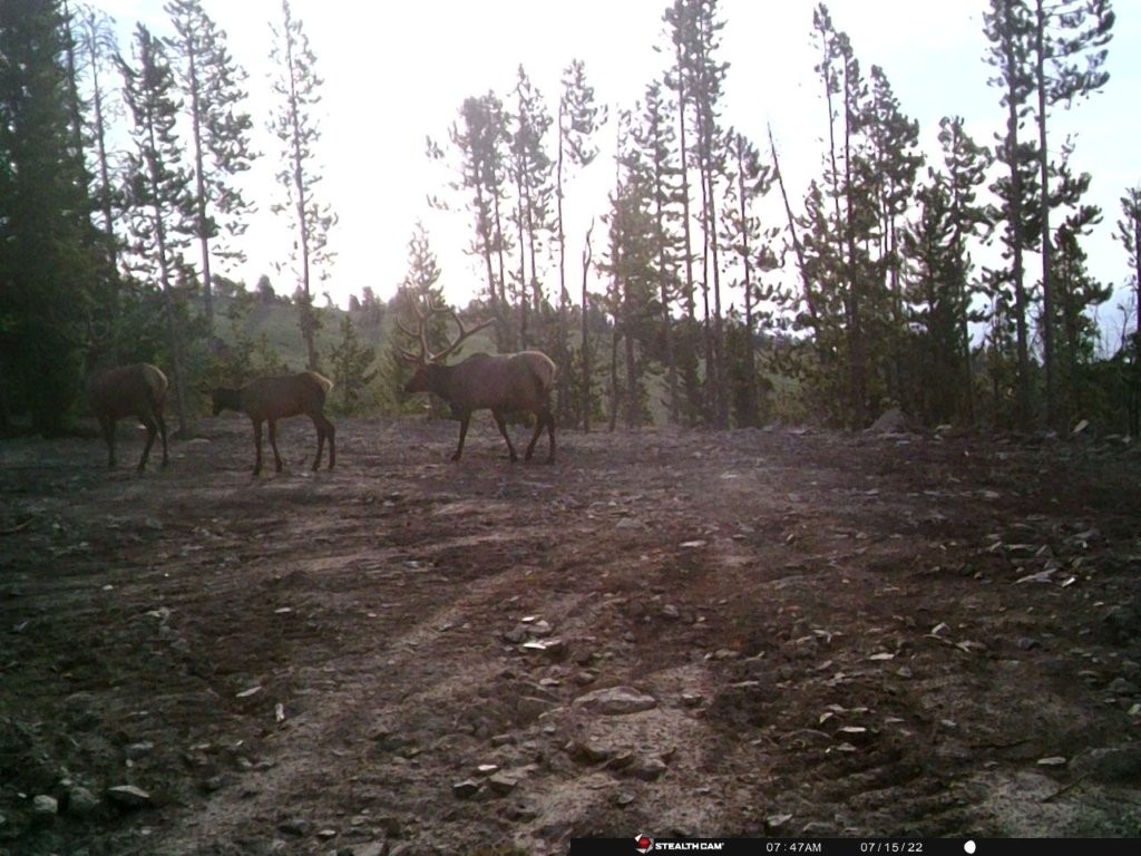Anna Indian Creek Road Property Photo 35
