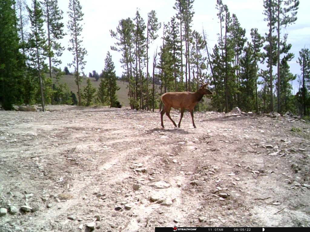 Anna Indian Creek Road Property Photo 38