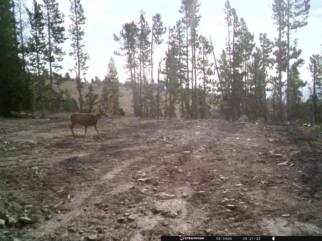 Anna Indian Creek Road Property Photo 39