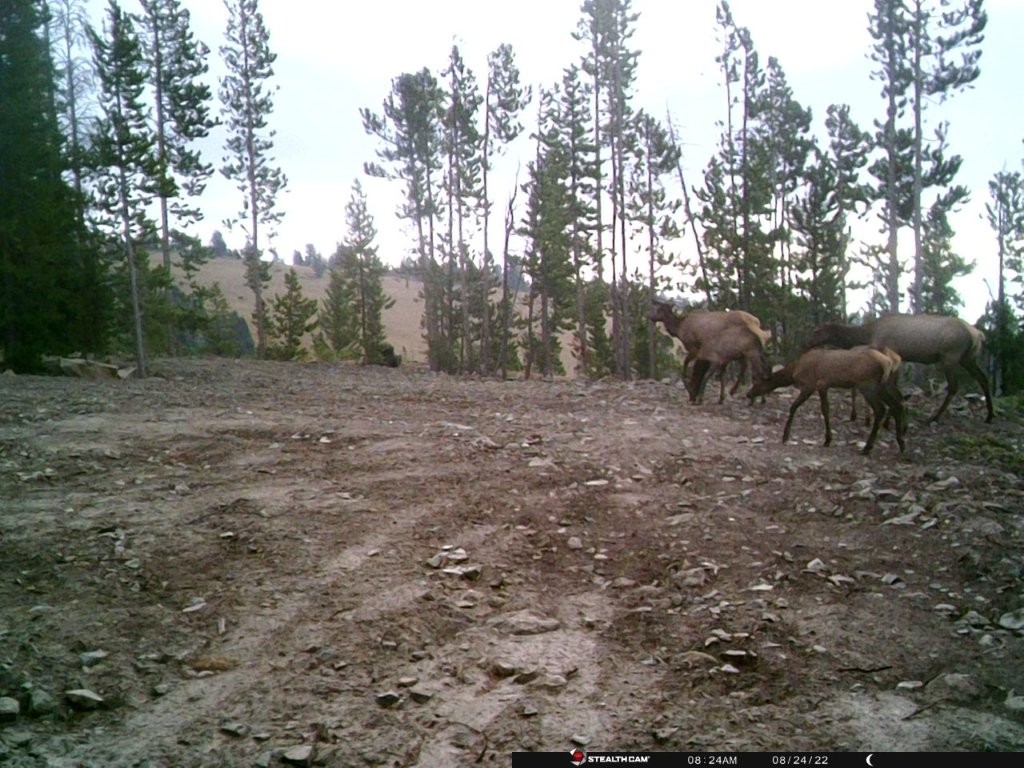 Anna Indian Creek Road Property Photo 41