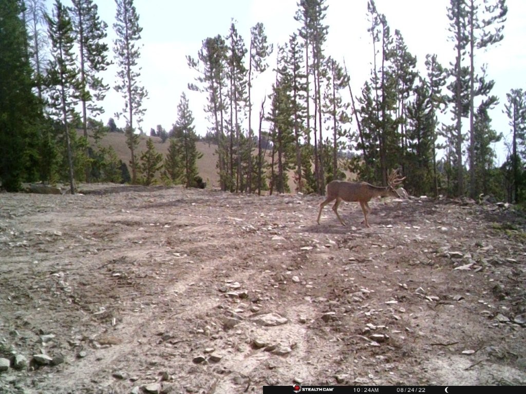 Anna Indian Creek Road Property Photo 42