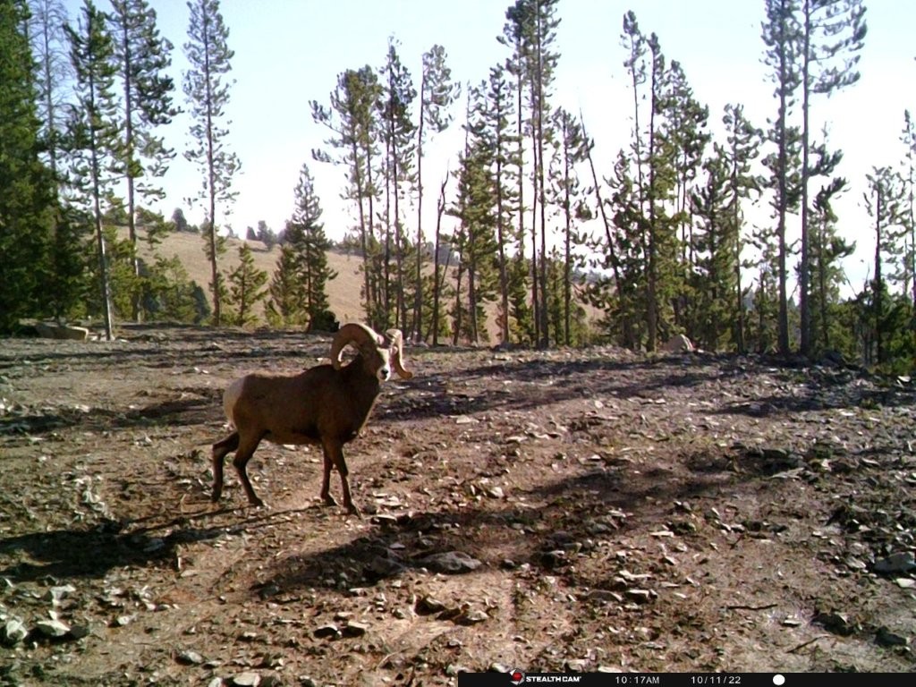 Anna Indian Creek Road Property Photo 43