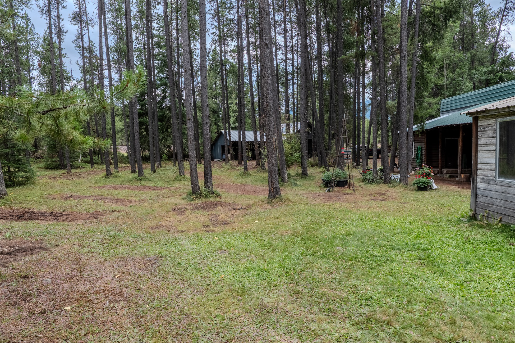 141 Lodge Avenue Property Photo 29