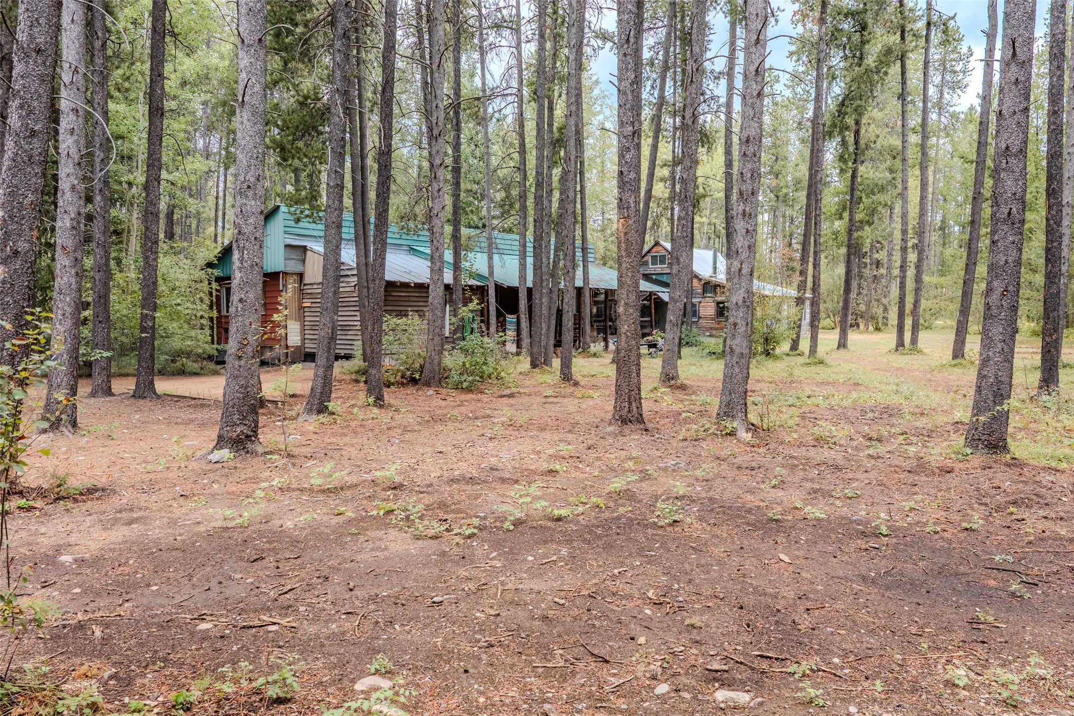 141 Lodge Avenue Property Photo 16