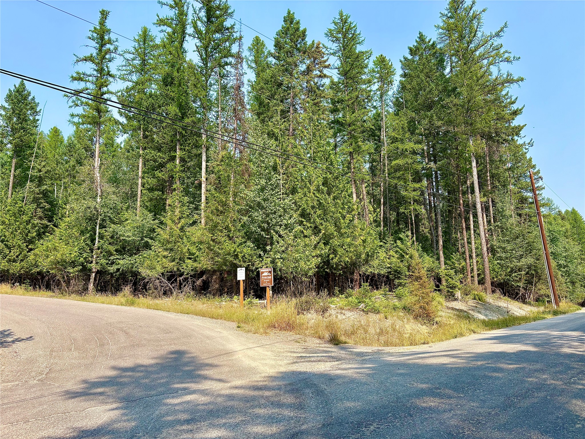 964 Northwoods Drive Property Photo 8