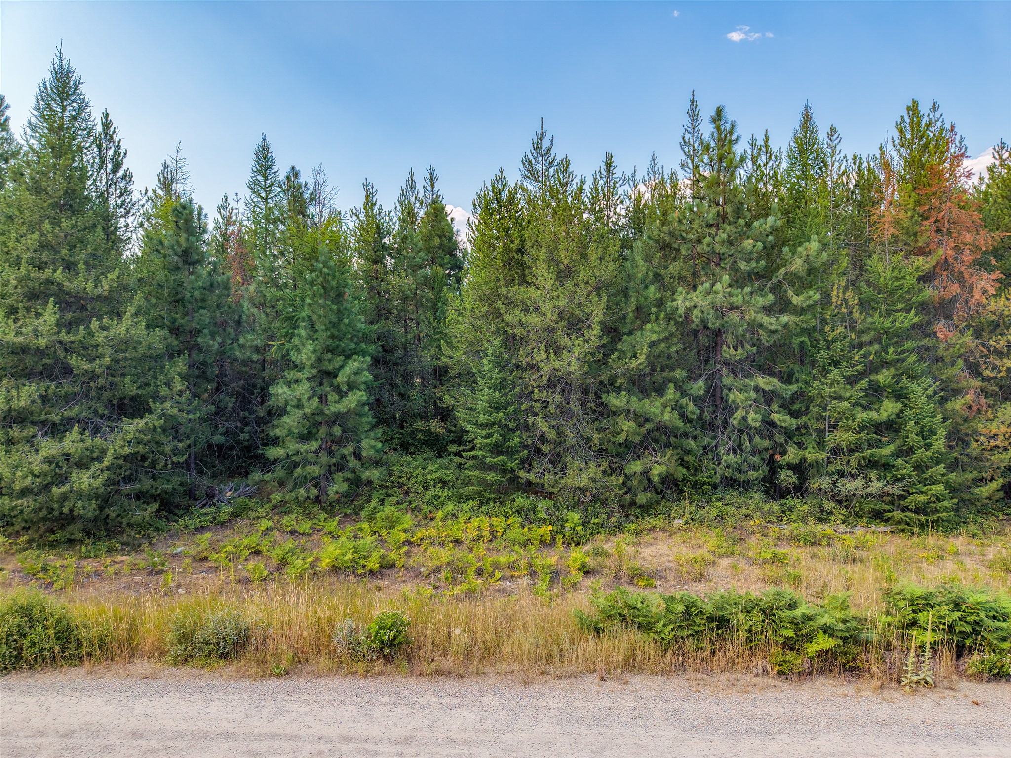 Lot 4 Little Bear Loop Property Photo 11