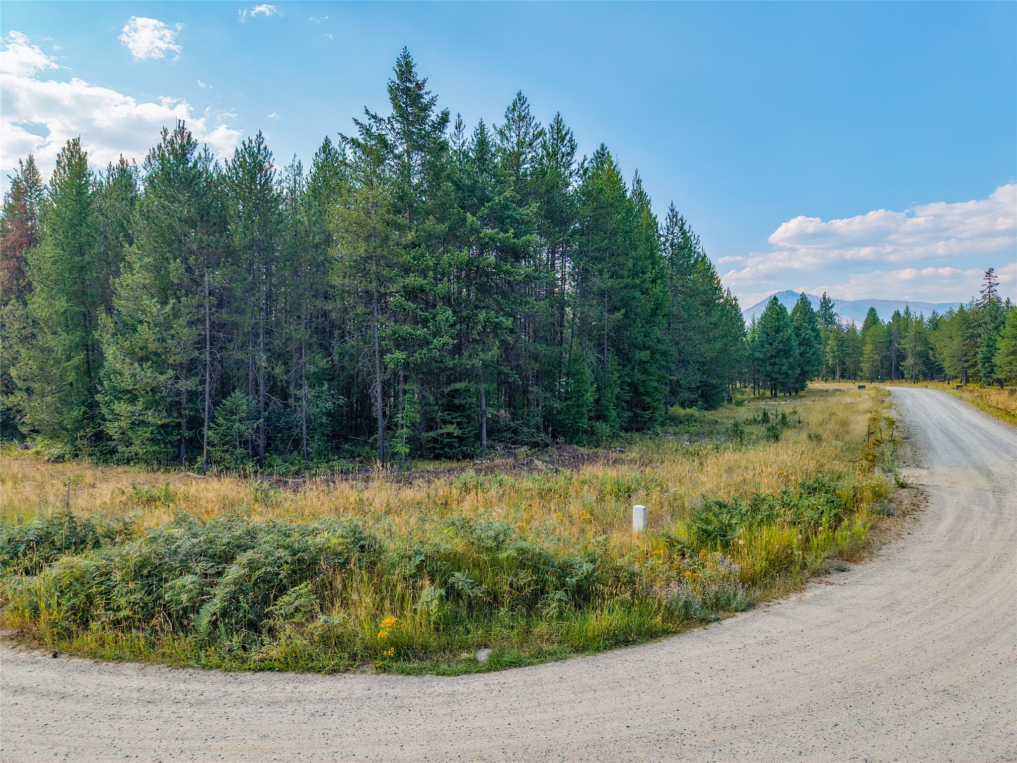 Lot 4 Little Bear Loop Property Photo 12