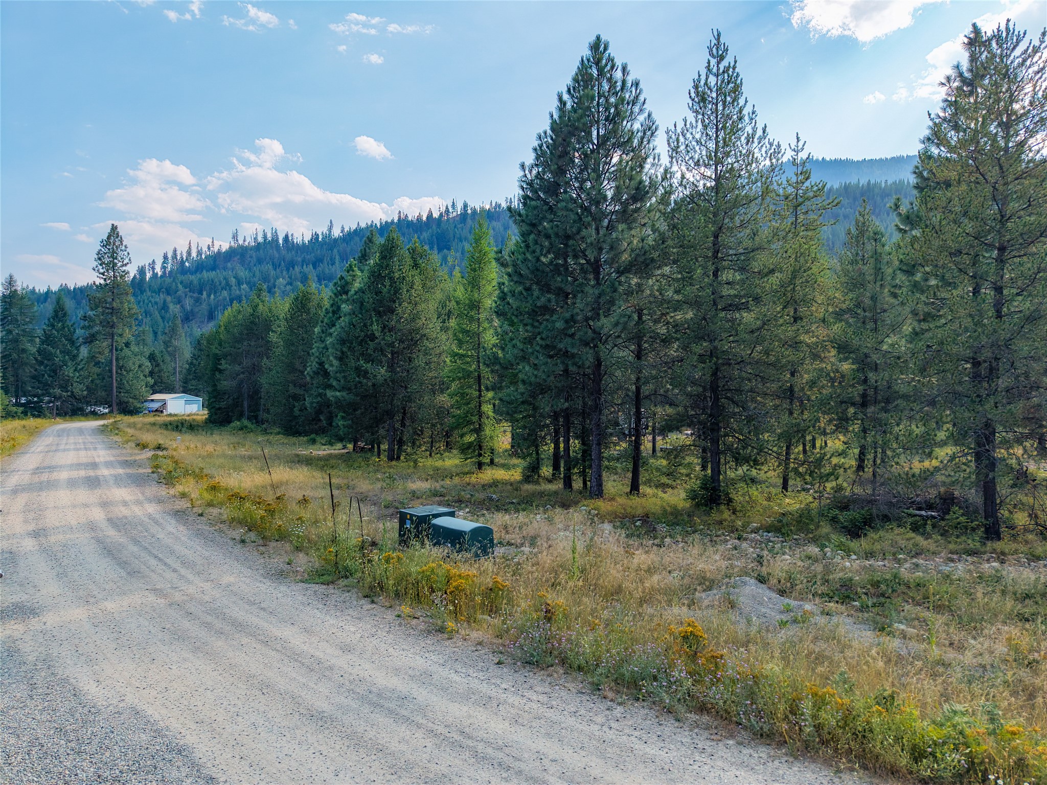 Lot 4 Little Bear Loop Property Photo 14