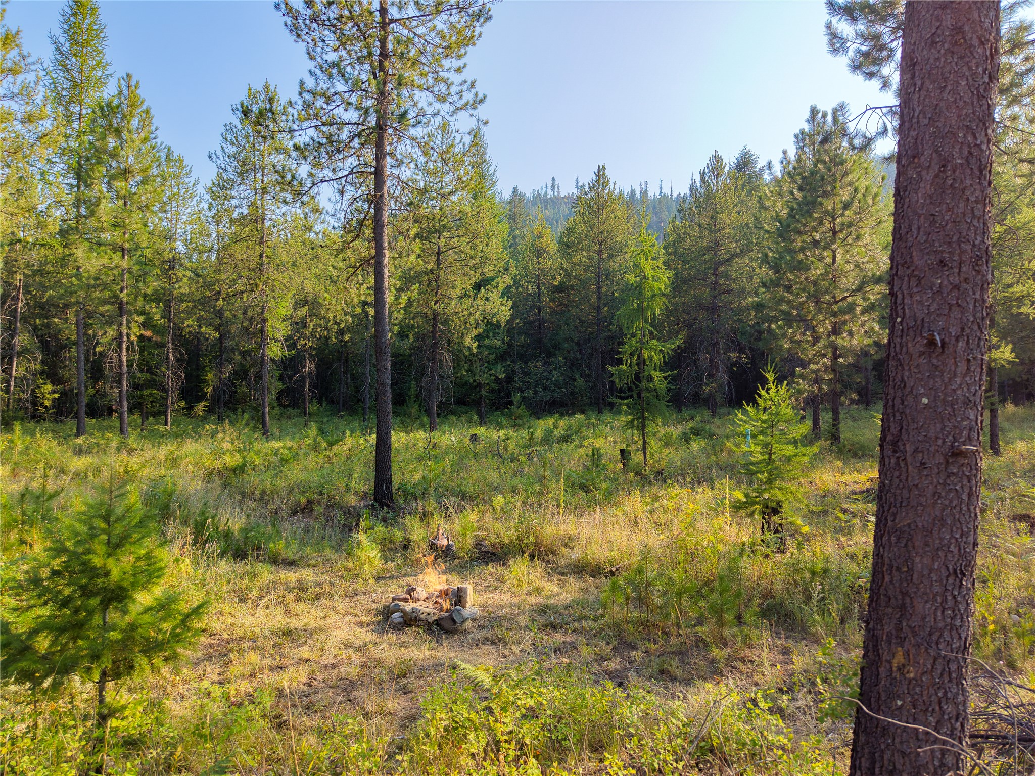 Lot 4 Little Bear Loop Property Photo 18