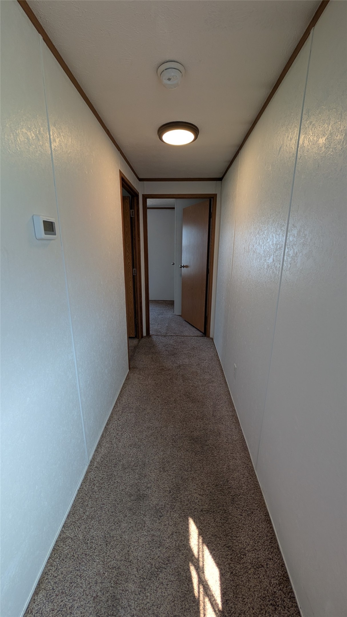 3562 Rainbow Drive Property Photo 9