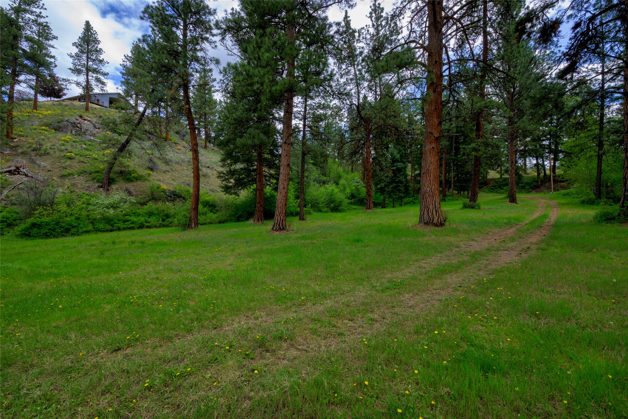 231 Juneberry Road Property Photo 49