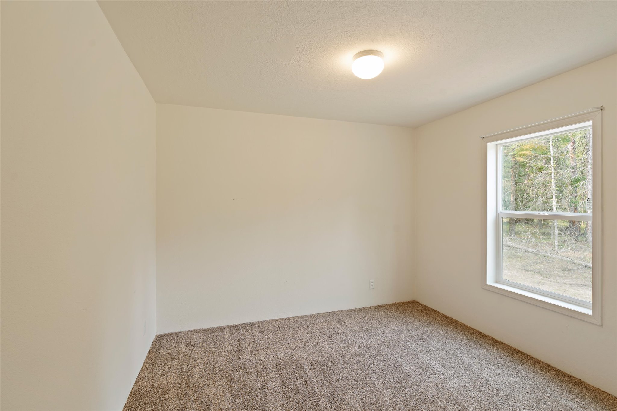 158 Mud Lake Road Property Photo 21