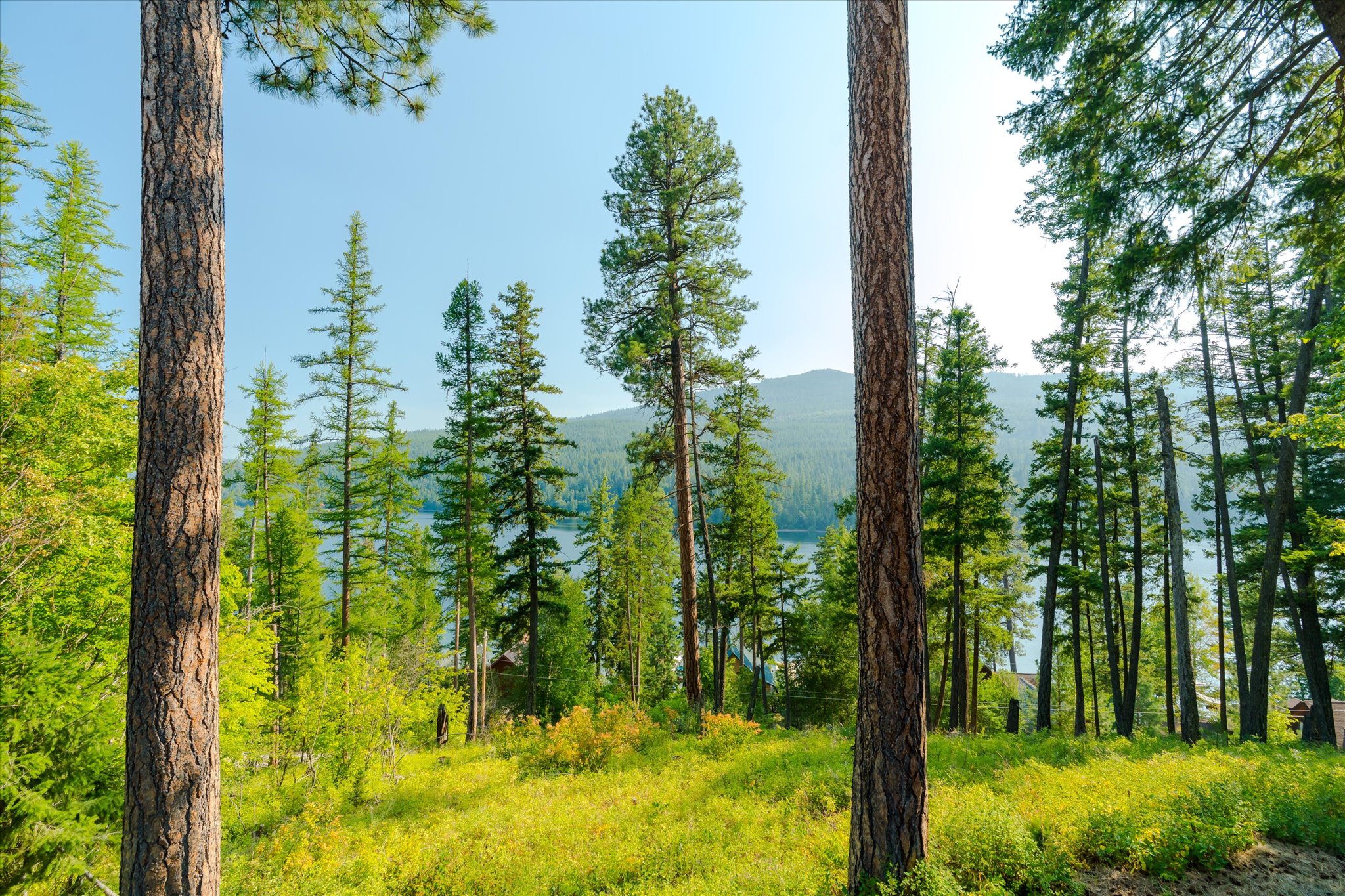 14259 Sunburst Drive Property Photo 47