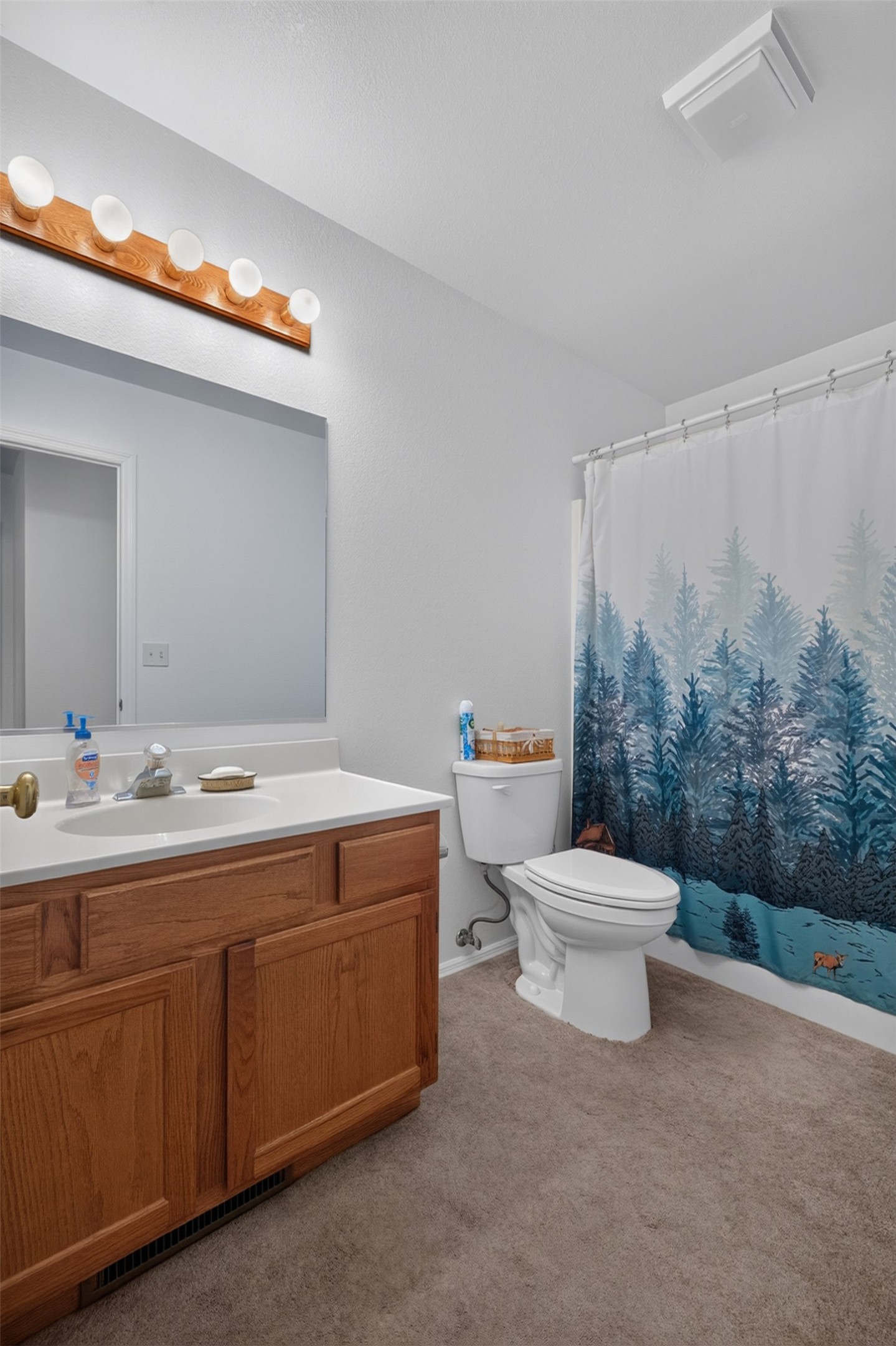 1659 Regal Drive Property Photo 29