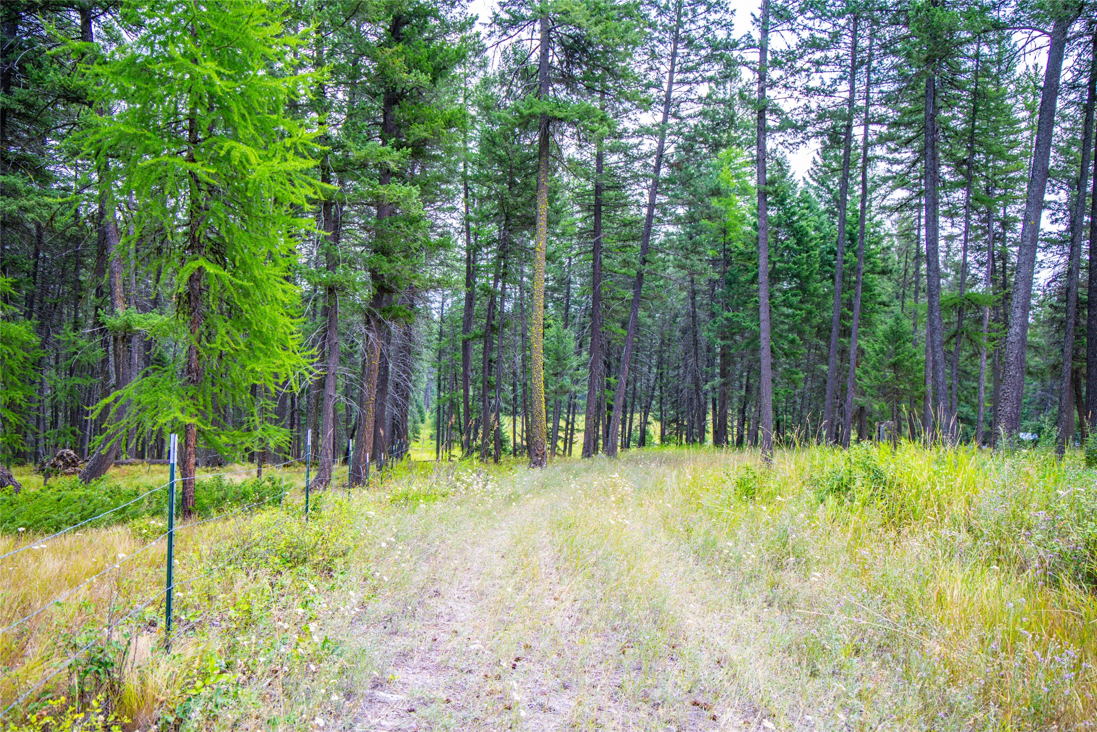786 Lore Lake Road Property Photo 72