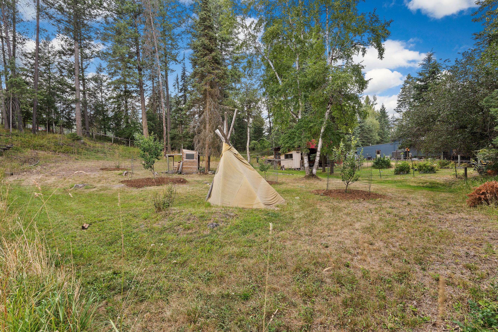 2045 Lion Mountain Road Property Photo 49